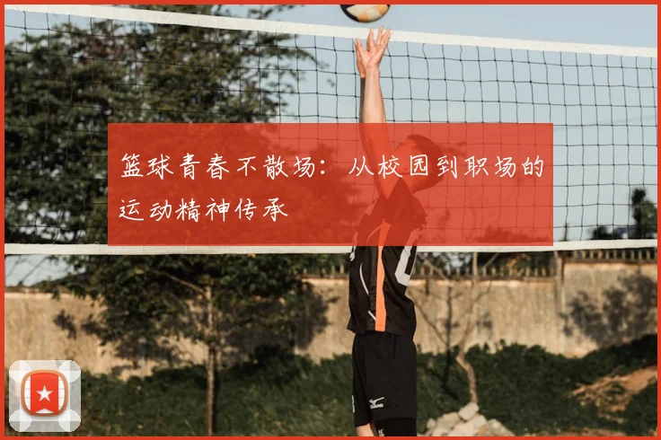 篮球青春不散场:从校园到职场的运动精神传承